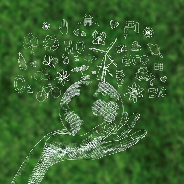 Sustainable Purchasing and Supply Chain Policy
